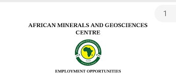 ANÚNCIO DE VAGA: CENTRO AFRICANO DE MINERAIS E GEOCIÊNCIAS (AMGC) ANÚNCIO DE VAGA: CENTRO AFRICANO DE MINERAIS E GEOCIÊNCIAS (AMGC)