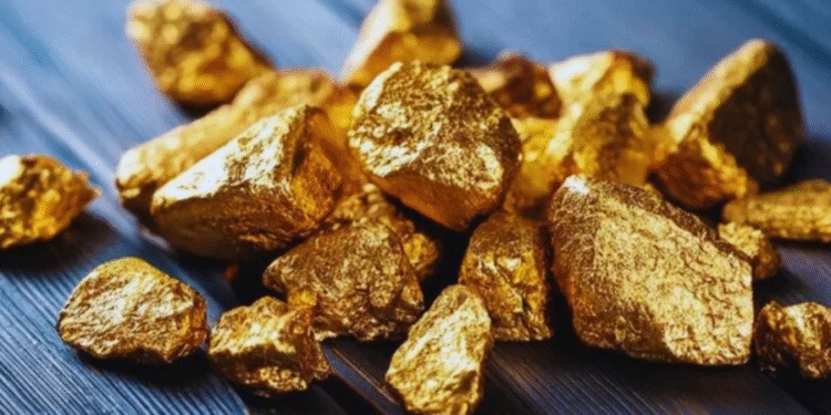 PLANTA QUE PRODUZ OURO VIRA OPÇÃO PARA QUEM DESEJA JUNTAR DINHEIRO RÁPIDO EM CASA PLANTA QUE PRODUZ OURO VIRA OPÇÃO PARA QUEM DESEJA JUNTAR DINHEIRO RÁPIDO EM CASA