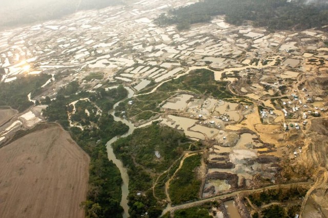 BRASIL: DEVASTAÇÃO DO GARIMPO NA TERRA INDÍGENA SARARÉ EQUIVALE A 4 MIL CAMPOS DE FUTEBOL BRASIL: DEVASTAÇÃO DO GARIMPO NA TERRA INDÍGENA SARARÉ EQUIVALE A 4 MIL CAMPOS DE FUTEBOL