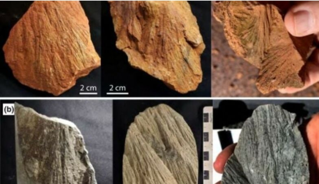 AUSTRÁLIA: GEÓLOGOS FORAM À PROCURA DE OURO, MAS ENCONTRARAM ALGO MUITO MAIS RARO