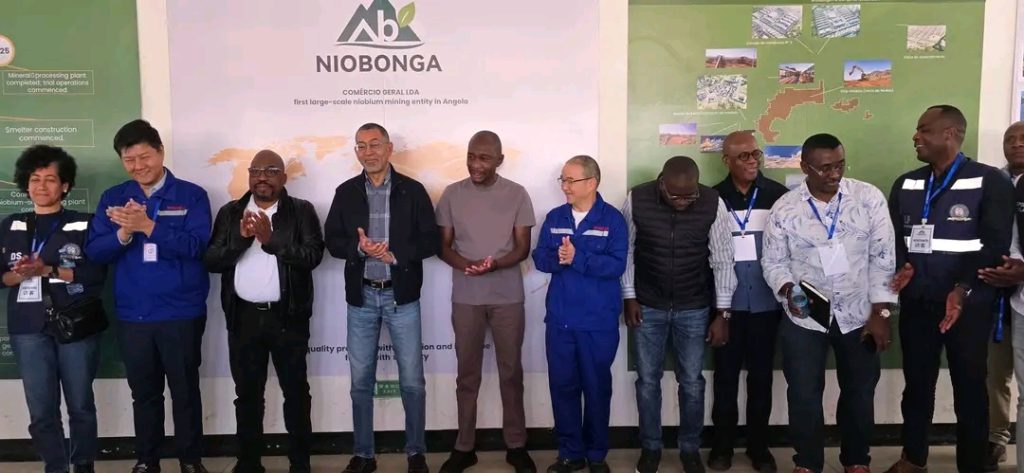 PROJECTO NIOBONGA CRIA MAIS DE MIL EMPREGOS NA HUÍLA PROJECTO NIOBONGA CRIA MAIS DE MIL EMPREGOS NA HUÍLA