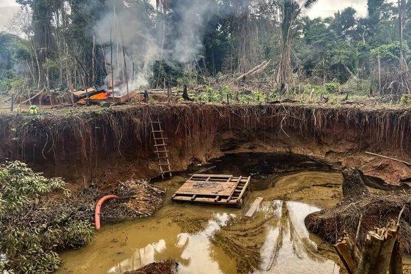 HOMEM VIRA RÉU POR GARIMPO QUE DESTRUIU MAIS DE 36 HECTARES DE FLORESTA EM PARQUE NACIONAL NO BRASIL HOMEM VIRA RÉU POR GARIMPO QUE DESTRUIU MAIS DE 36 HECTARES DE FLORESTA EM PARQUE NACIONAL NO BRASIL